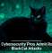 U.S. Cybersecurity Pros Admit Role in BlackCat Attacks